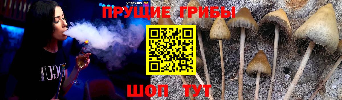 купить   Галлюциногенные грибы Magic Shrooms  Вход с VPN  Сегежа  Галлюциногенные грибы Magic Shrooms 