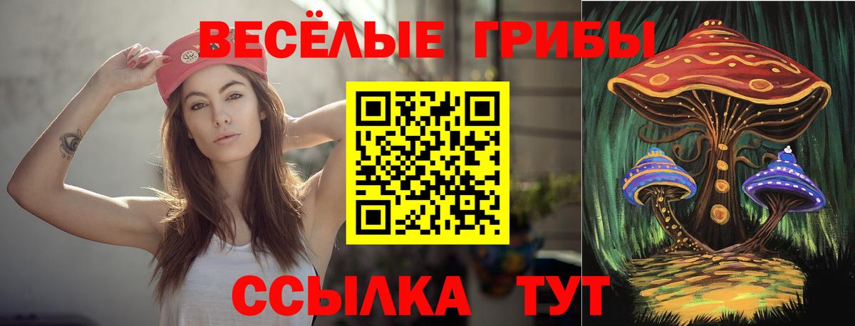 Псилоцибиновые грибы MAGIC MUSHROOMS Сегежа